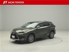 NX300h