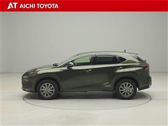 NX300h