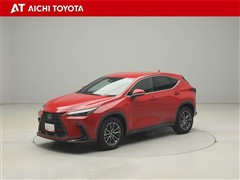 NX350h ヒョウジュン