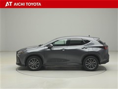 NX250 ヒョウジュン