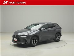 NX250 ヒョウジュン