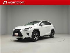 NX300h バージョンL