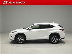 NX300h バージョンL