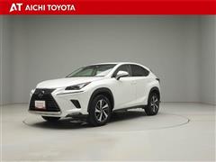 NX300 Iパッケージ