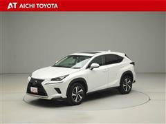 NX300 Iパッケージ