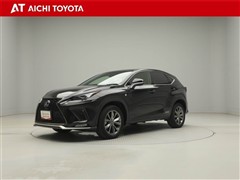 NX300h Fスポーツ