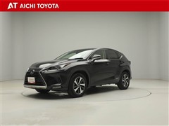 NX300h バージョンL