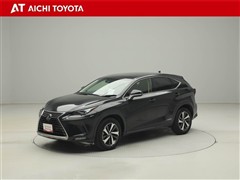 NX300h バージョンL