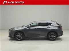 NX350h ヒョウジュン