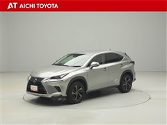 NX300h バージョンL