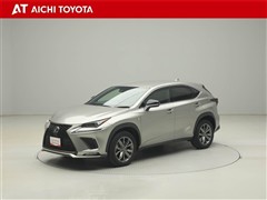 NX300h Fスポーツ