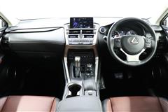 NX300h Iパッケージ