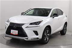 NX300h スパイス&シック