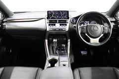 NX300h スパイス&シック