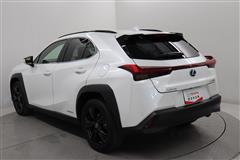 UX250h アーバンエレガンス