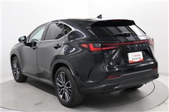 NX250 バージョンL