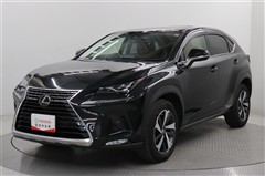 NX300 バージョンL