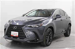 NX250 バージョンL