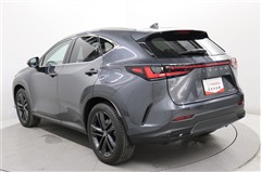 NX250 バージョンL