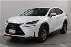 NX300h Iパッケージ