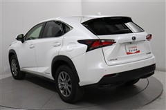 NX300h Iパッケージ