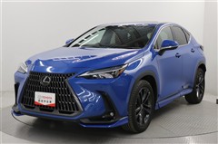 NX250 バージョンL