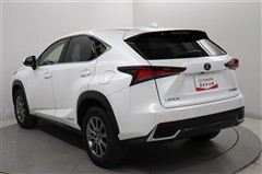 NX300h Iパッケージ