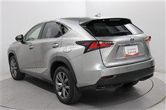 NX300h Fスポーツ