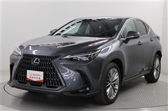 NX350h バージョンL