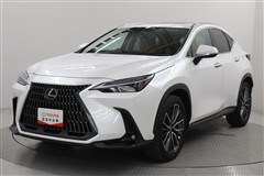 NX250 バージョンL