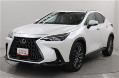 NX250 バージョンL