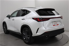 NX250 バージョンL