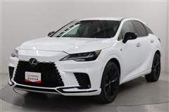RX500hFスポーツパフォーマンス
