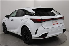RX500hFスポーツパフォーマンス