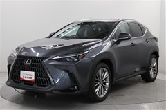 NX250 バージョンL