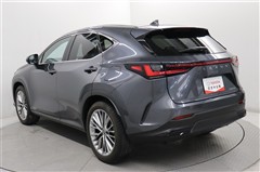 NX250 バージョンL