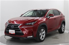 NX300h バージョンL