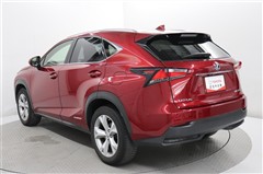 NX300h バージョンL