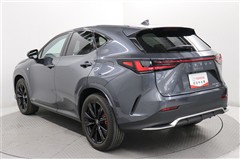 NX350 Fスポーツ