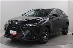 NX250 ヒョウジュンシャ