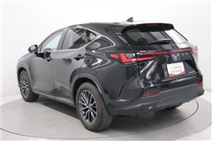 NX250 ヒョウジュンシャ