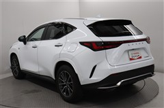 NX350h Fスポーツ