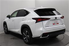 NX300h バージョンL