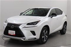 NX300 スパイス&シック