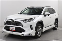 RAV4 G