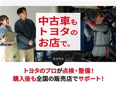 カローラツーリング WxB