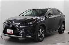 NX300h Iパッケージ
