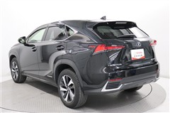 NX300h Iパッケージ