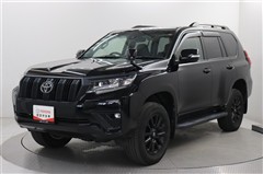 トヨタ ランクル プラドTX LマットフB