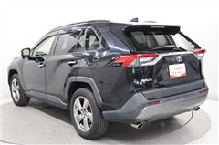 RAV4 G